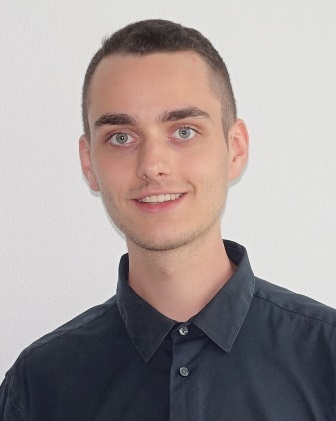 David Portrait Webklein